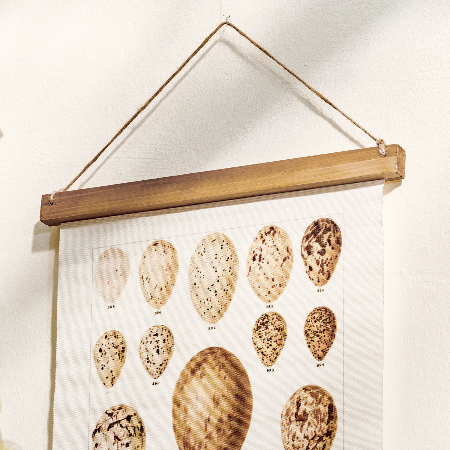 Leinwandposter mit verschiedenen Vogel-Ei-Mustern, hängend an Holzrahmen und Juteschnur